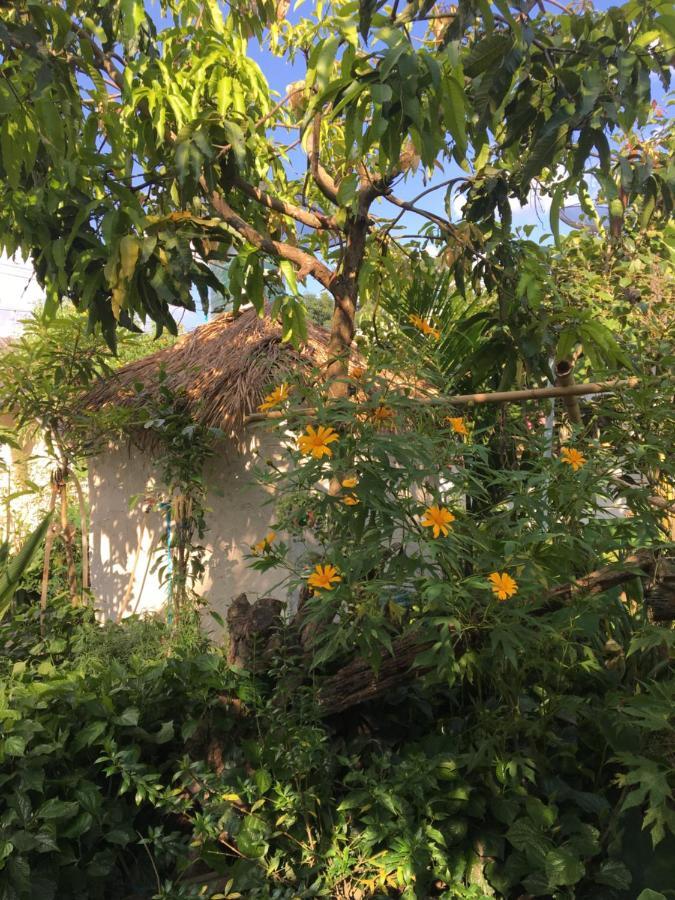 Thong Family Homestay Chiangdao تْشينغْ داوْ المظهر الخارجي الصورة